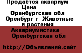 Продаётся аквариум › Цена ­ 4 000 - Оренбургская обл., Оренбург г. Животные и растения » Аквариумистика   . Оренбургская обл.